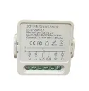 Zigbee Interruptor Smart Switch (2G 10A)