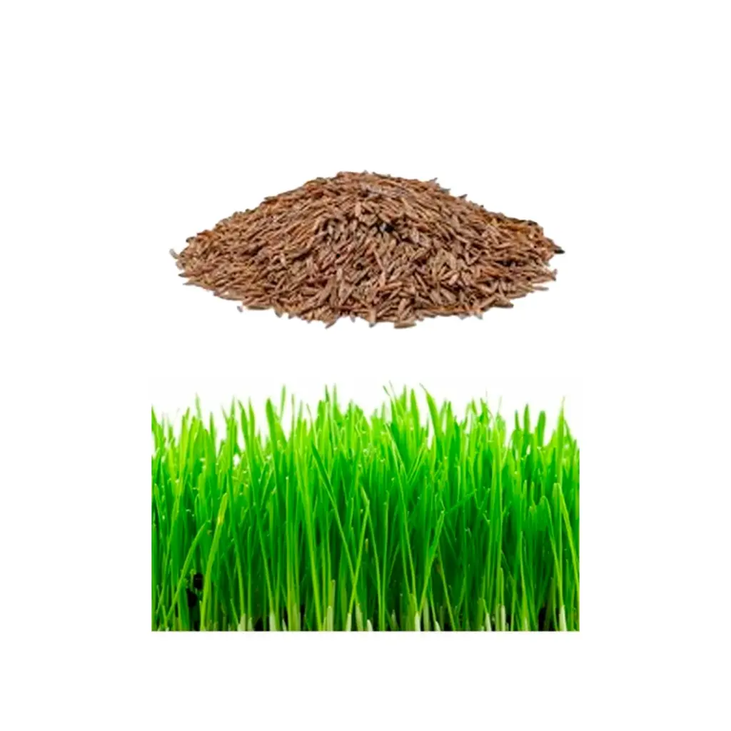 Semillas para Césped Premium 9 Variedades - 500g: Alta Resistencia y Pureza