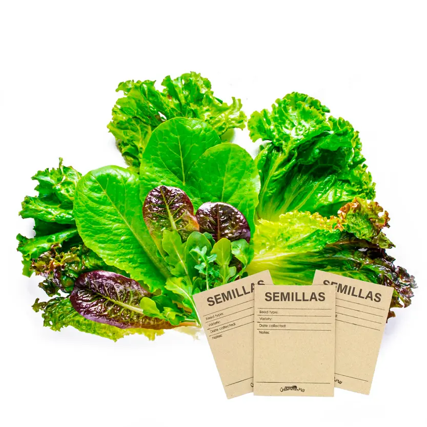 Kit 10 Sobres con Semillas de plantas Hortalizas y Aromáticas