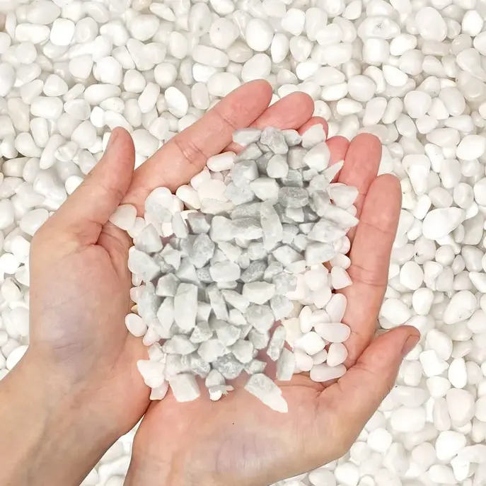 Mini White Deco: Piedritas Blancas Decorativas para Macetas y Jardines (2kg)