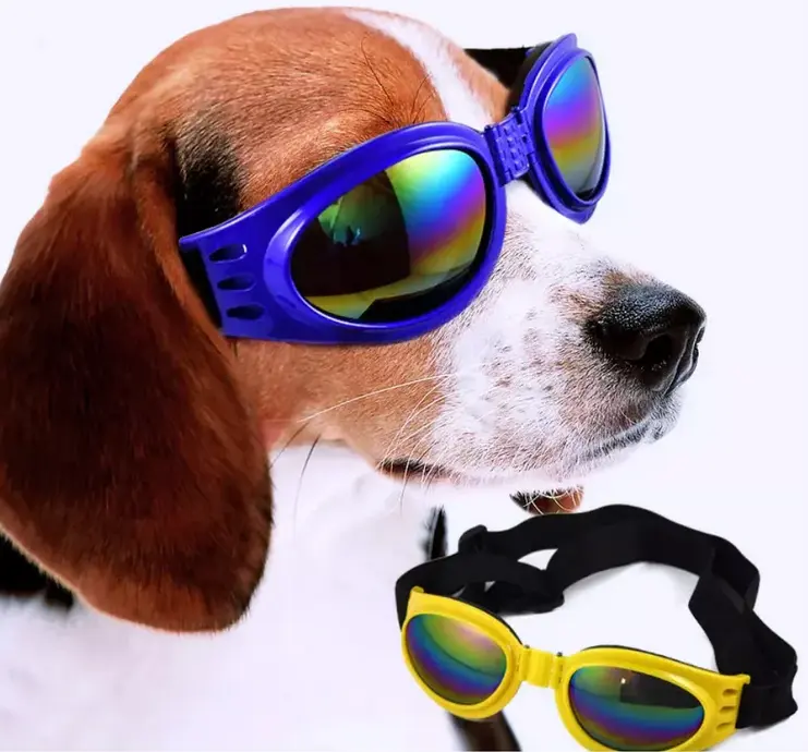 Lentes Para Perros Protector Uv Multicolores Viento Y Sol