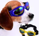 Lentes Para Perros Protector Uv Multicolores Viento Y Sol