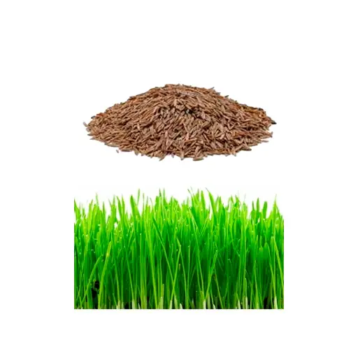 Semillas para Césped Premium 9 Variedades - 500g: Alta Resistencia y Pureza