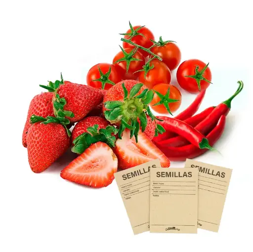 Kit 10 Sobres con Semillas de plantas Frutales y Pimientos