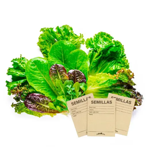 Kit 10 Sobres con Semillas de plantas Hortalizas y Aromáticas