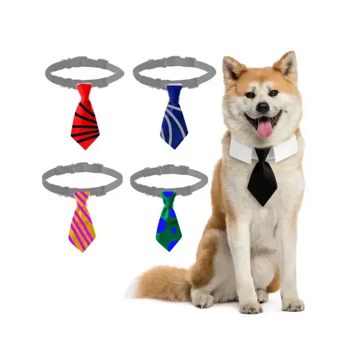 Corbata Divertida para Mascotas: Pack de 12