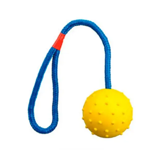 Bola de Goma con Soga: Diversión y Resistencia en Cada Juego